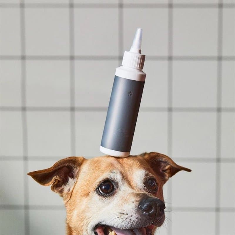 Pet Facial Cleanser