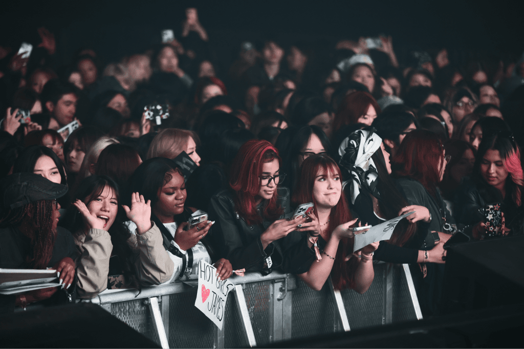 Crowd at a KOOM Live night concert